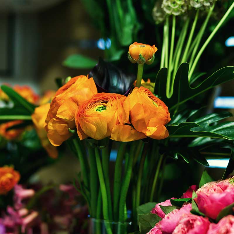 Samantha Rose Designs, Luxurious Flowers