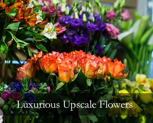 Farm-Fresh Flowers, Luxurious Floral Bouquets