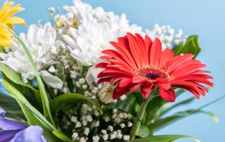 Samantha Rose Designs Summer Flowers, Plants & Gifts Same-Day Flower Delivery Service