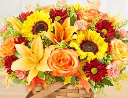 Autumn Flowers to Brighten Your Home and Heart