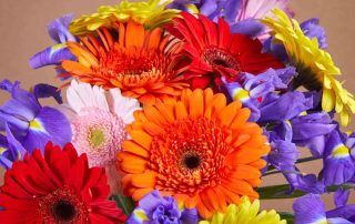 Samantha Rose Designs Provides Same Day Delivery of Gorgeous Flowers for Special Occasions